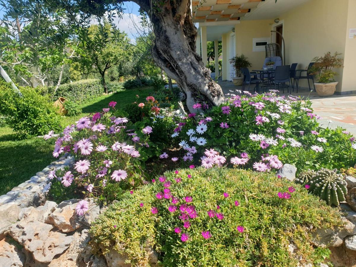 Studio Holiday Kalamata Exterior photo